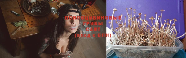 МДПВ Абдулино